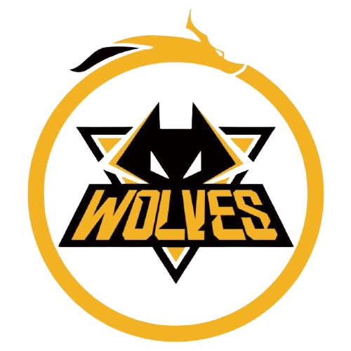 现了赛会制 现了赛会制